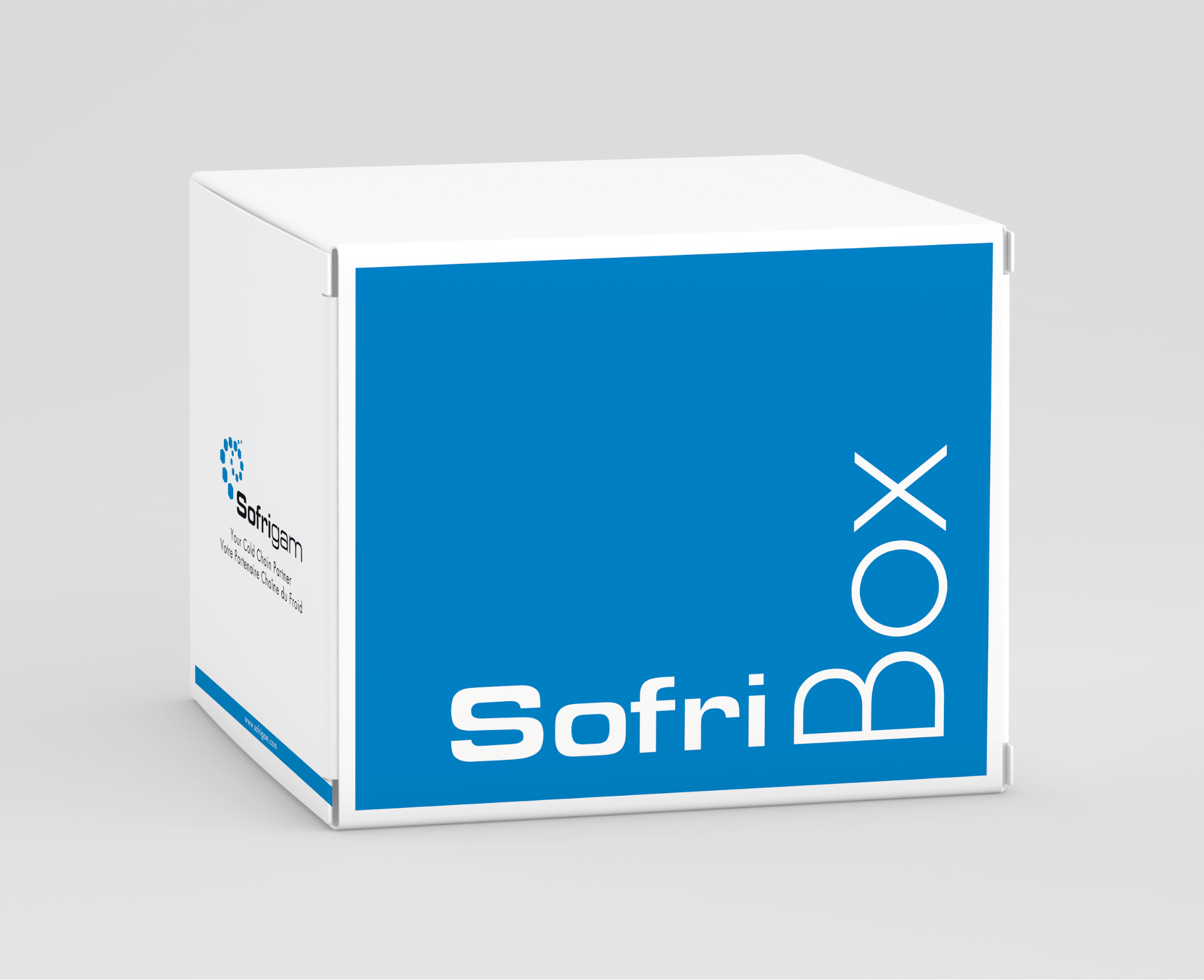 Temperaturecontrolled packaging solutions innovations and quality Sofrigam Studies and